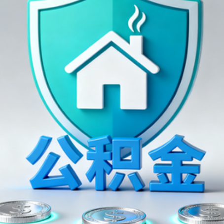 南昌公积金代办行业观察:谁在提供专业服务?